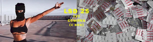 гидра Волоколамск