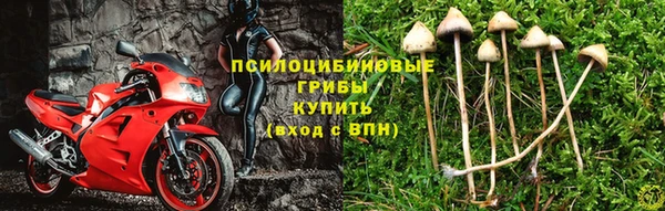 наркотики Волосово