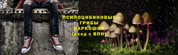 ГАЛЛЮЦИНОГЕННЫЕ ГРИБЫ Володарск